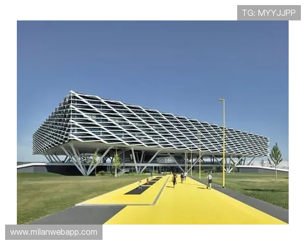 半岛星空体育如何打造沉浸式虚拟体育竞技体验满足不同用户需求